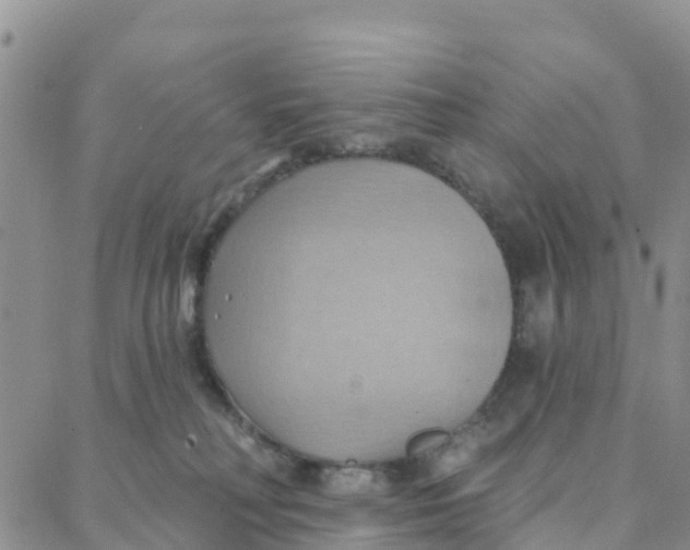 X0000088380230200706121153