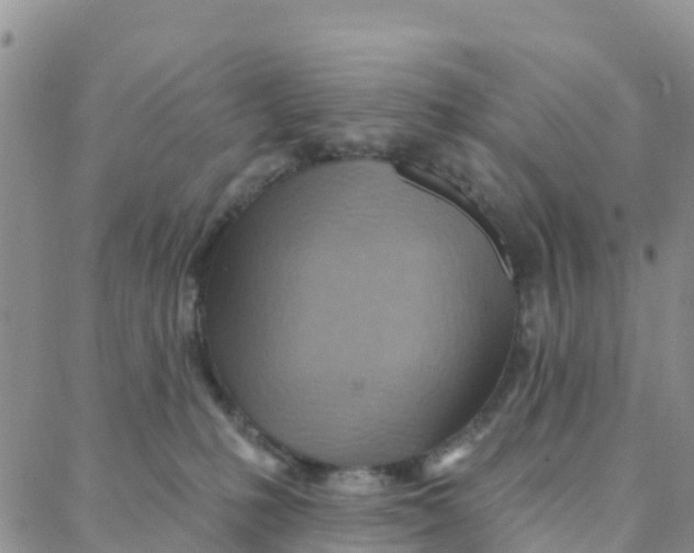 X0000088380231200706121153