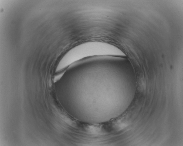 X0000088380232200706121153