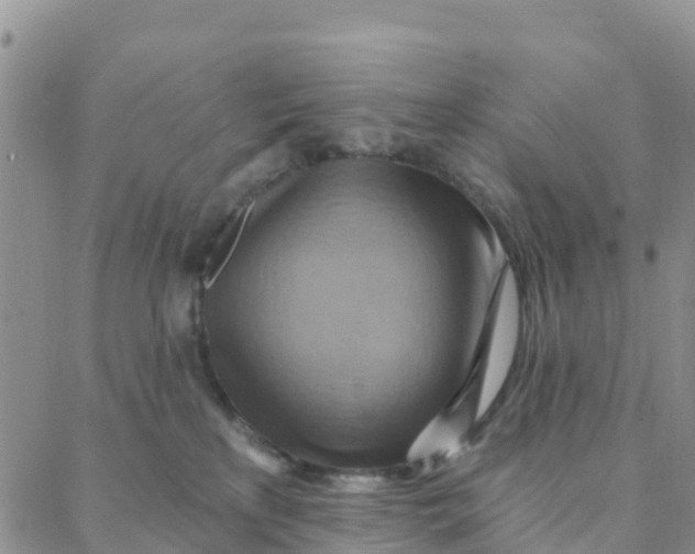 X0000088380233200706121153