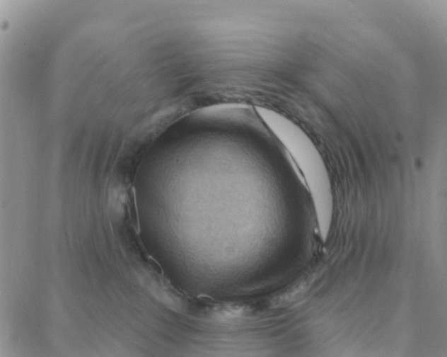 X0000088380235200706121153