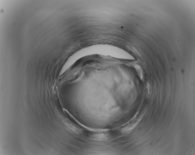 X0000088380237200706121153