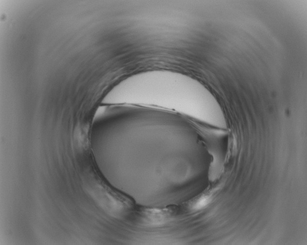 X0000088380239200706121153