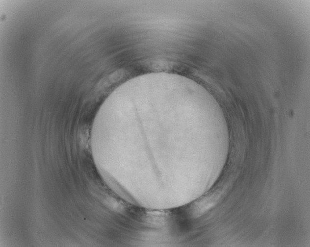 X0000088380240200706121153