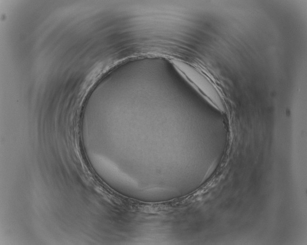 X0000088380241200706121152