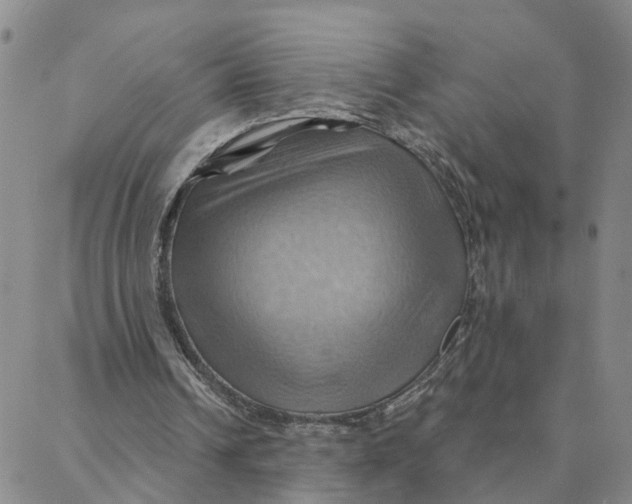 X0000088380242200706121152