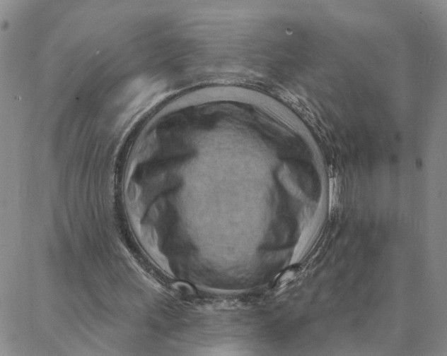 X0000088380243200706121152