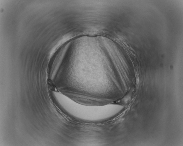 X0000088380244200706121152