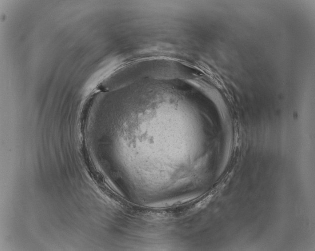 X0000088380245200706121152