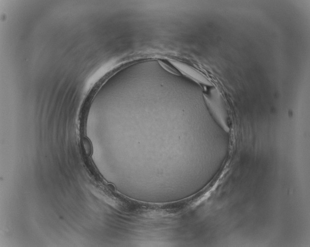 X0000088380246200706121152