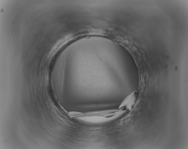 X0000088380247200706121152