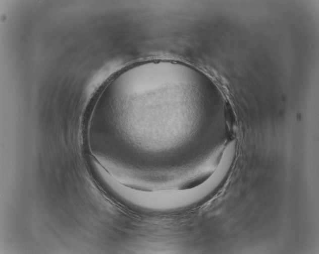 X0000088380248200706121152