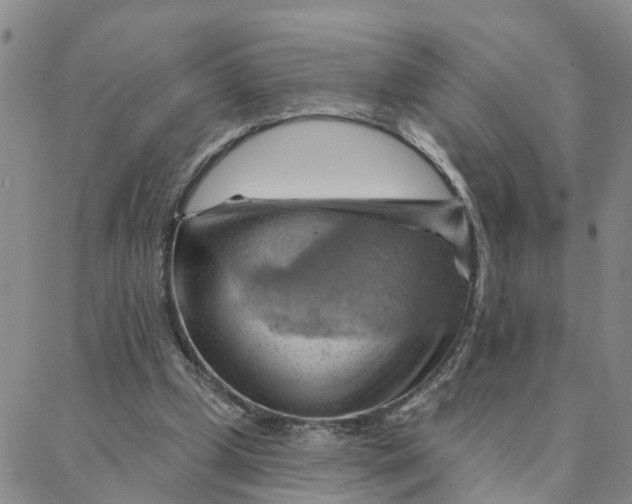 X0000088380249200706121152