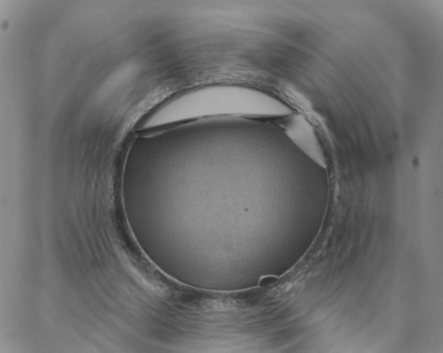 X0000088380250200706121152