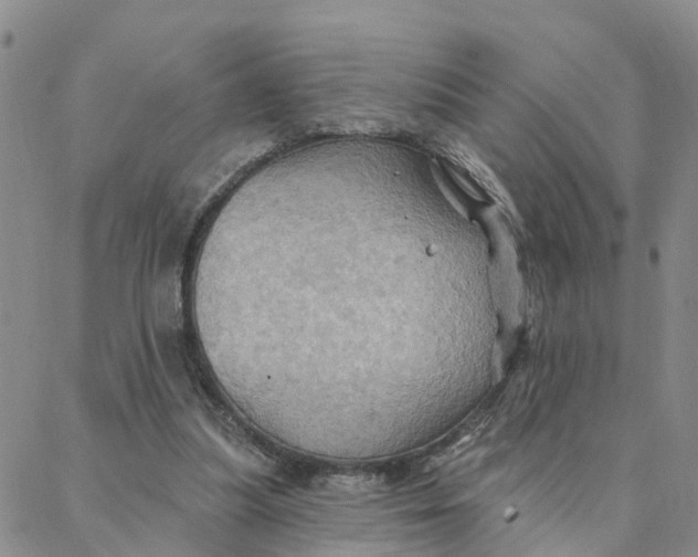 X0000088380251200706121152