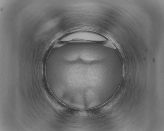 X0000088380253200706121152