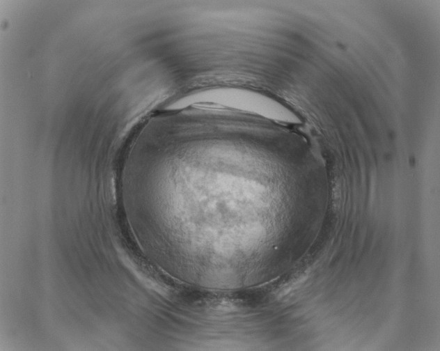 X0000088380254200706121152