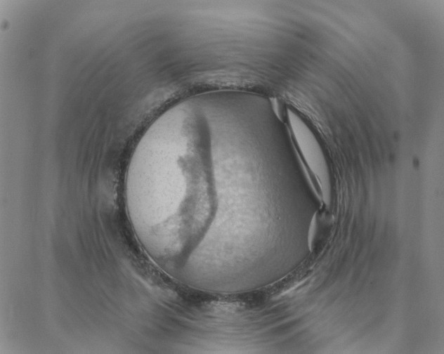 X0000088380255200706121152