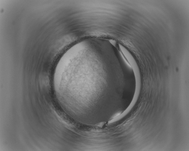 X0000088380256200706121152