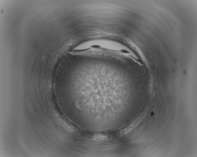 X0000088380257200706121152