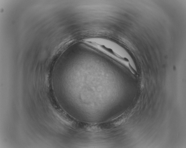 X0000088380258200706121152