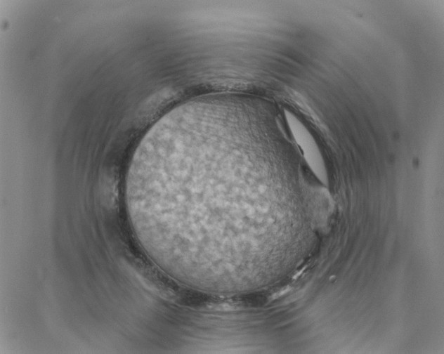 X0000088380259200706121152