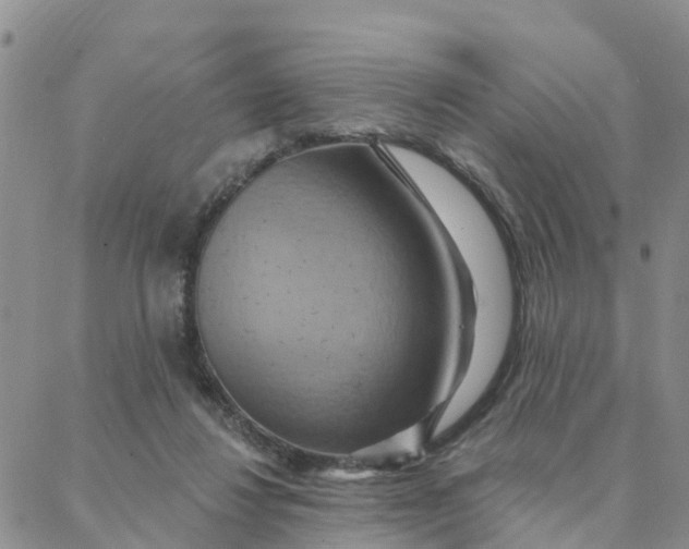 X0000088380260200706121152