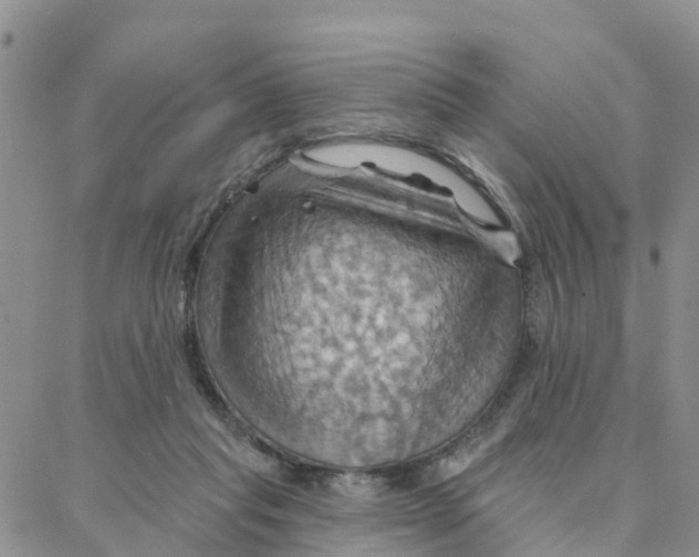 X0000088380261200706121152