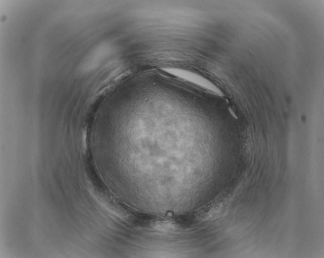 X0000088380262200706121152