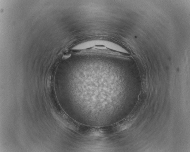 X0000088380263200706121152