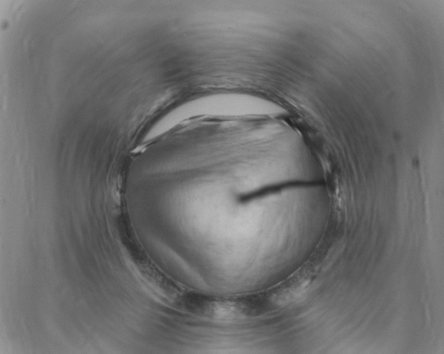 X0000088380264200706121152