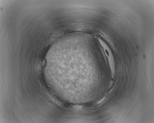 X0000088380265200706121152