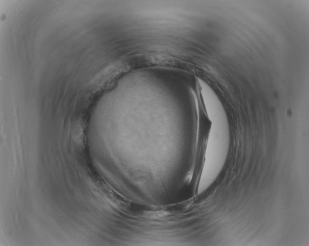 X0000088380266200706121152