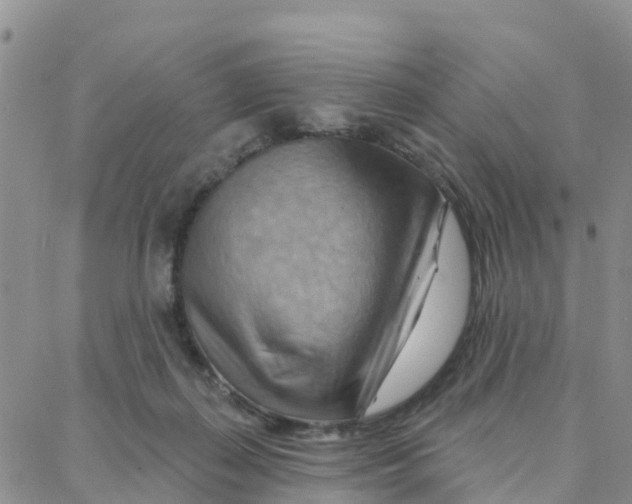 X0000088380267200706121152