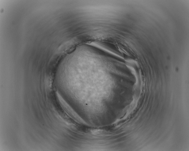 X0000088380268200706121152