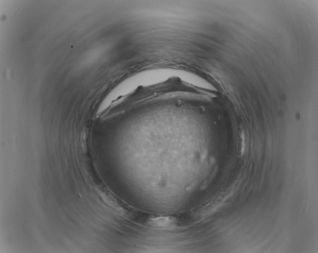 X0000088380269200706121152