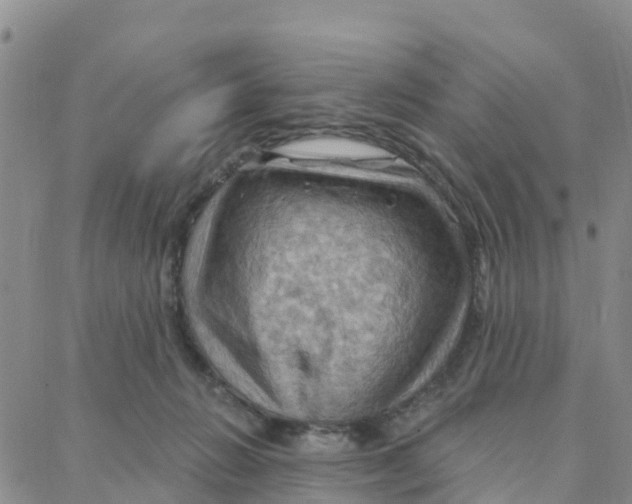 X0000088380270200706121152