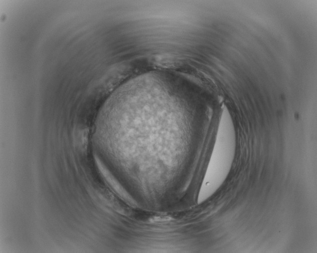 X0000088380271200706121152