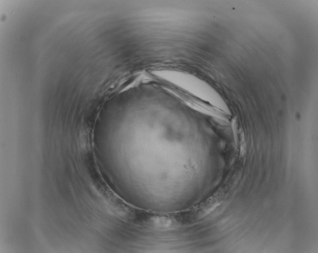 X0000088380272200706121152