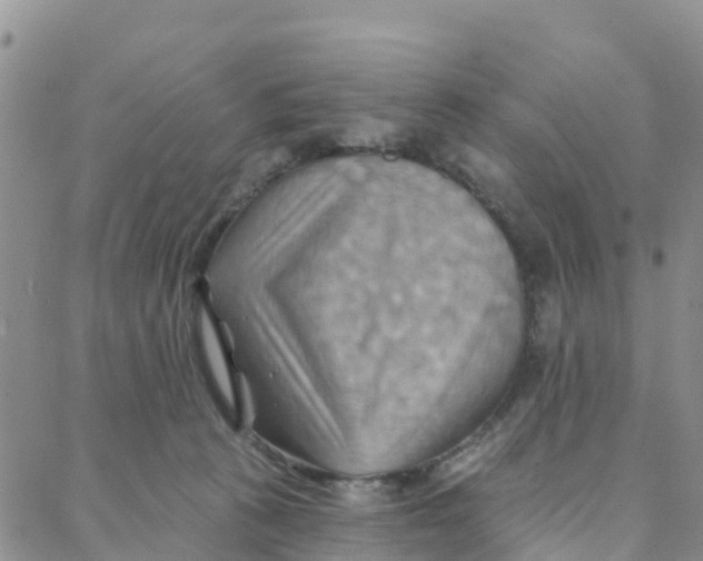 X0000088380273200706121152