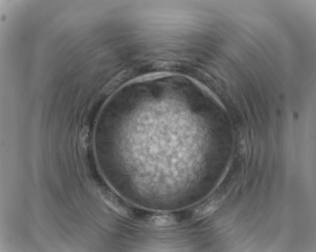 X0000088380275200706121152