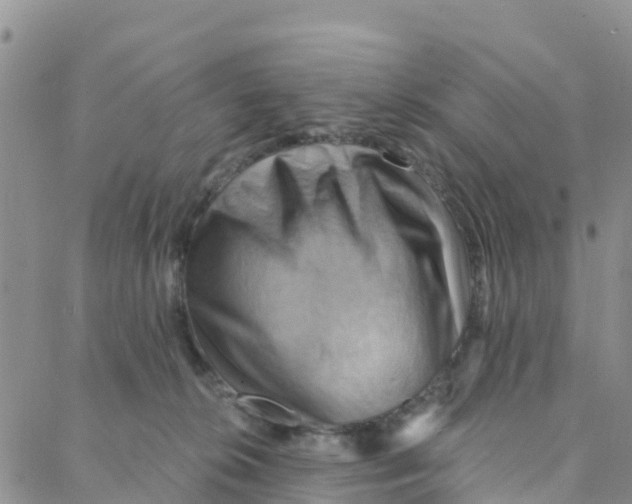 X0000088380276200706121152