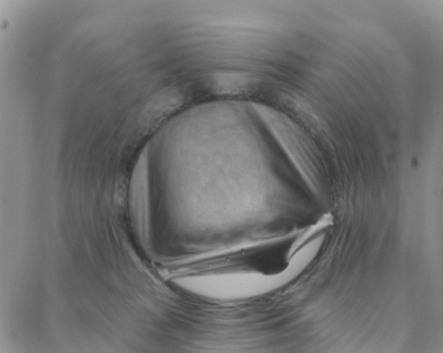 X0000088380277200706121152