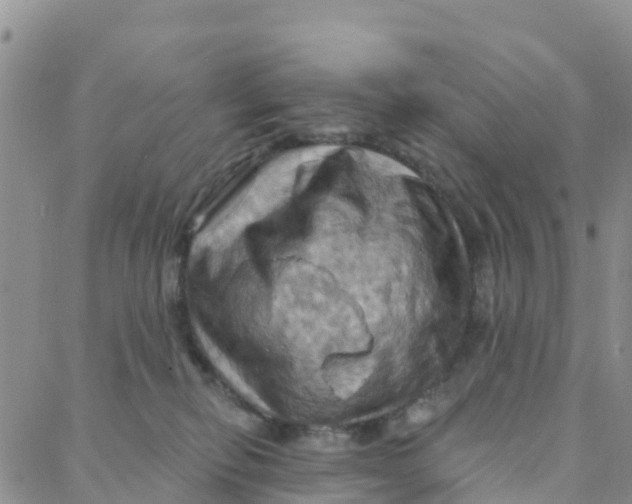 X0000088380278200706121152