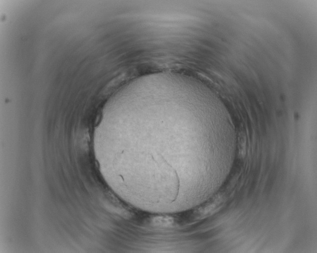 X0000088380279200706121152