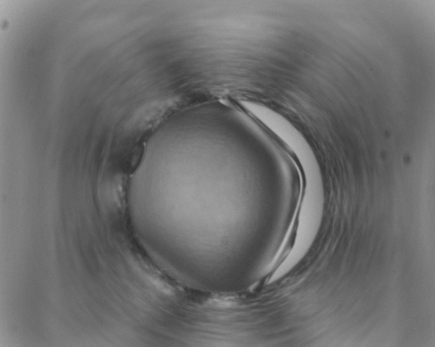 X0000088380280200706121152