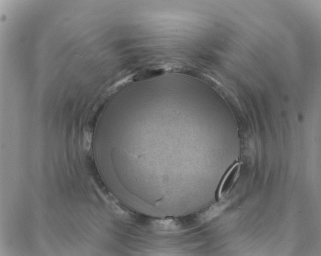 X0000088380281200706121152