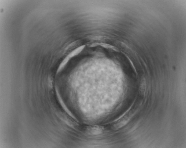 X0000088380282200706121152