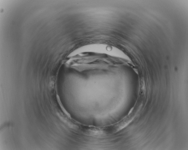 X0000088380284200706121153