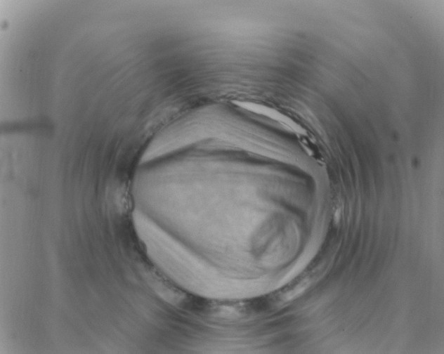 X0000088380285200706121153